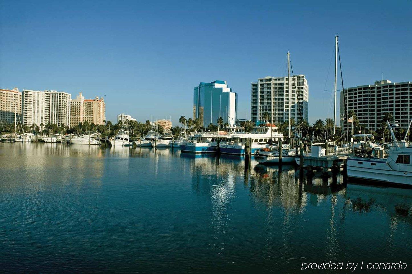 Hilton Garden Inn Sarasota-Bradenton Airport Buitenkant foto