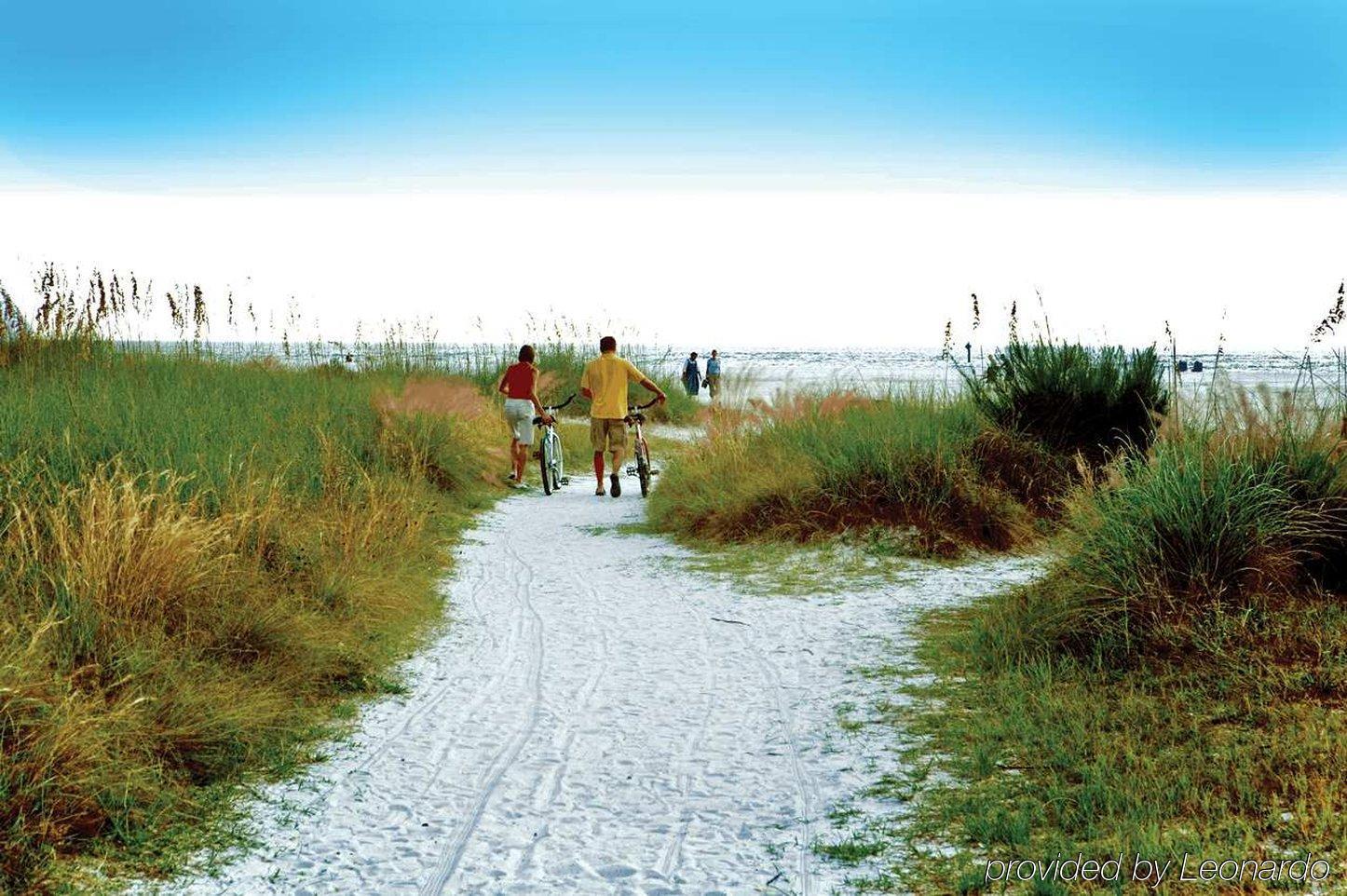 Hilton Garden Inn Sarasota-Bradenton Airport Buitenkant foto